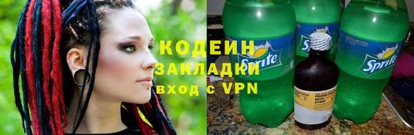 хмурый Арсеньев