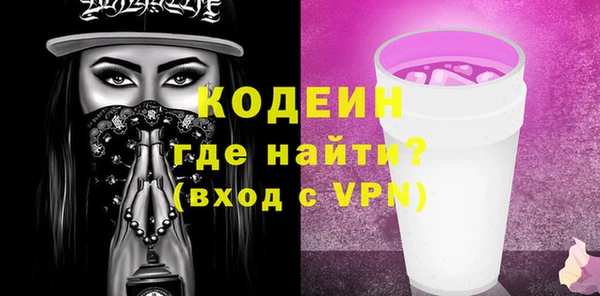 хмурый Арсеньев
